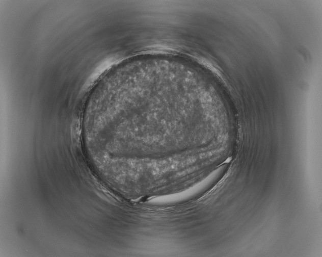 X0000113051355200909241446