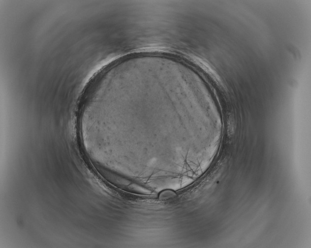 X0000113051356200909241446