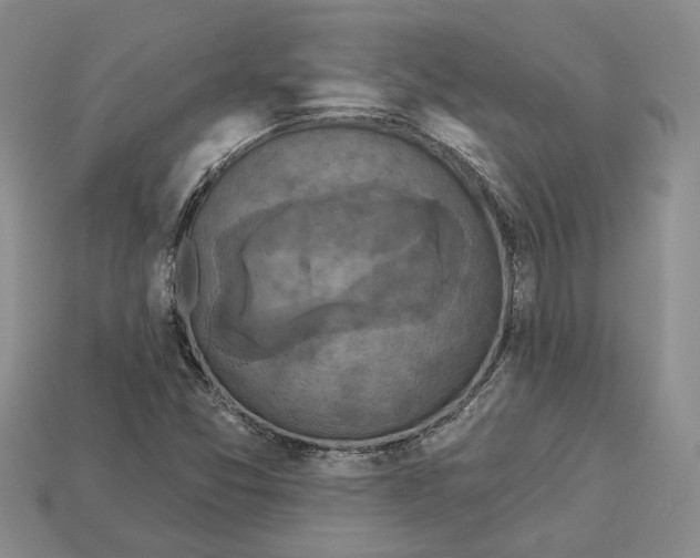 X0000113051357200909241446