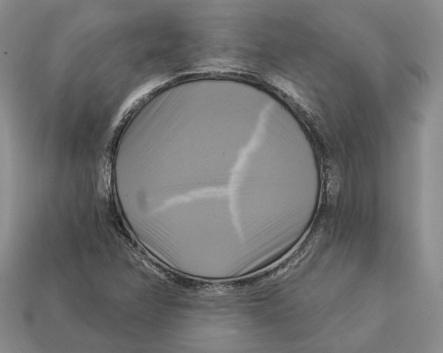 X0000113051358200909241446