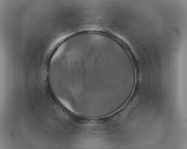X0000113051359200909241446