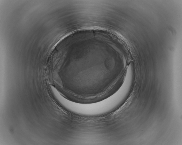 X0000113051361200909241446