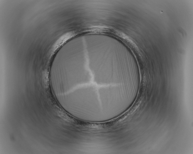 X0000113051362200909241446