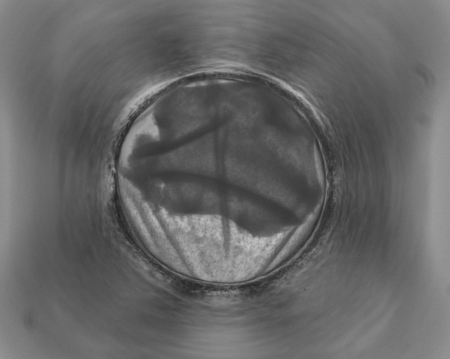 X0000113051363200909241446