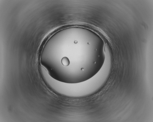 X0000113051364200909241446