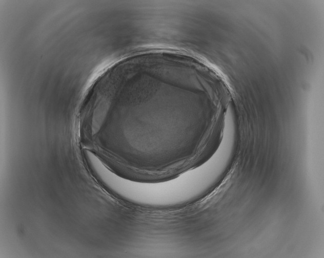 X0000113051365200909241446