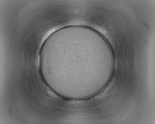 X0000113051366200909241446