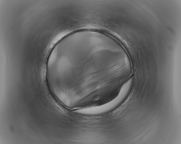 X0000113051367200909241446
