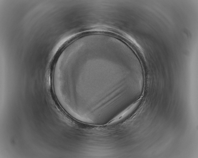 X0000113051368200909241446