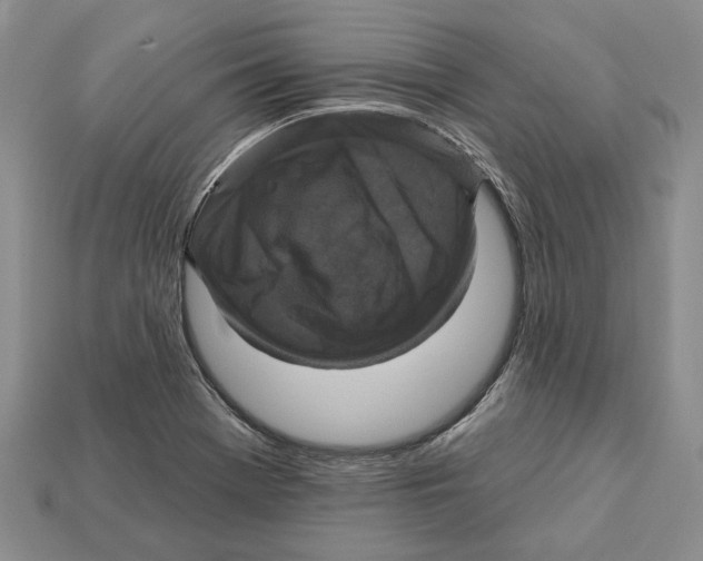 X0000113051369200909241446