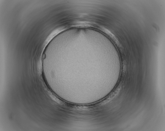 X0000113051370200909241446