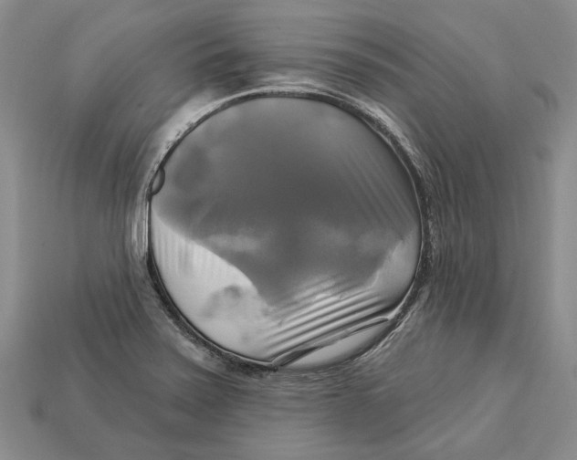 X0000113051371200909241446