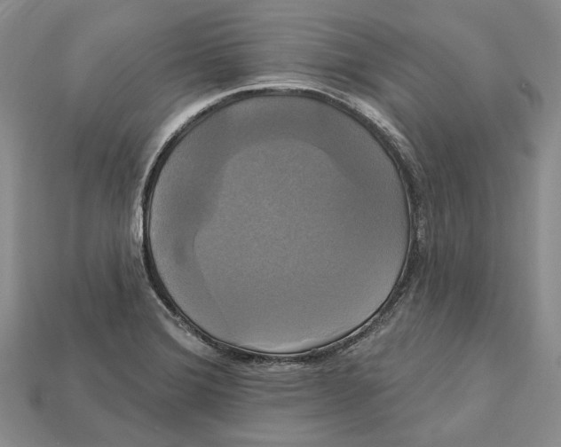 X0000113051372200909241446