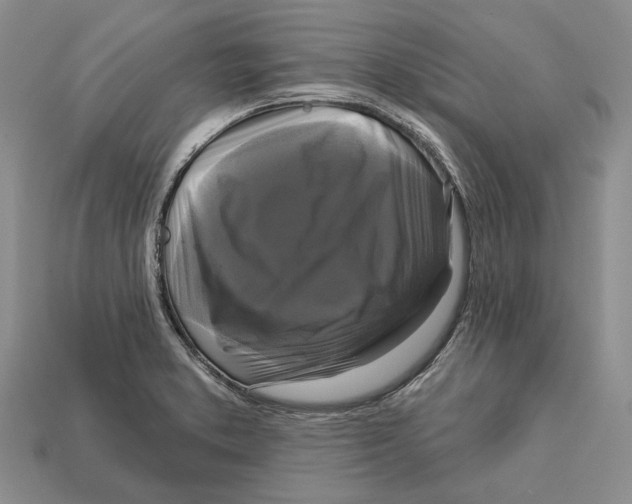 X0000113051373200909241446