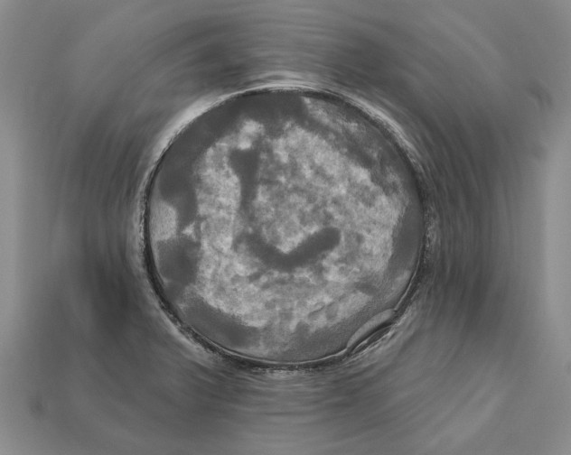 X0000113051375200909241446