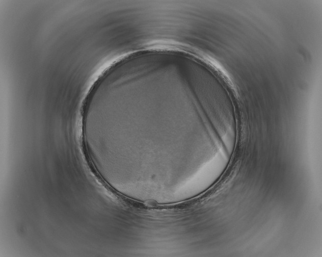 X0000113051376200909241446