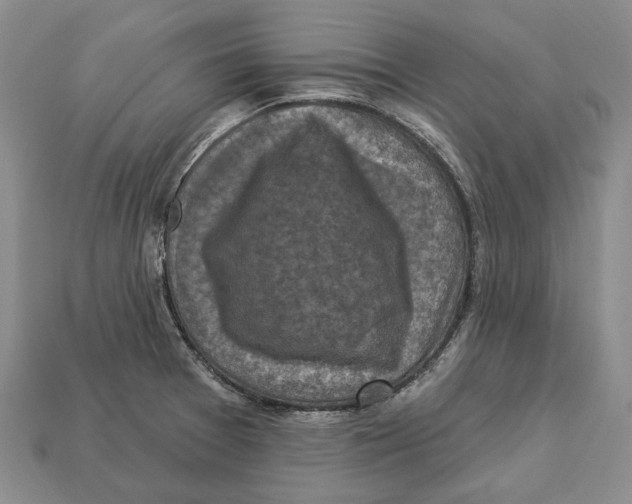 X0000113051377200909241446