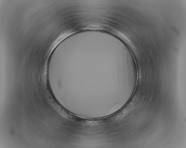 X0000113051378200909241446