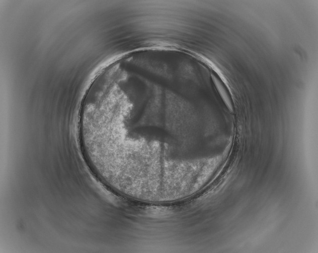 X0000113051379200909241446