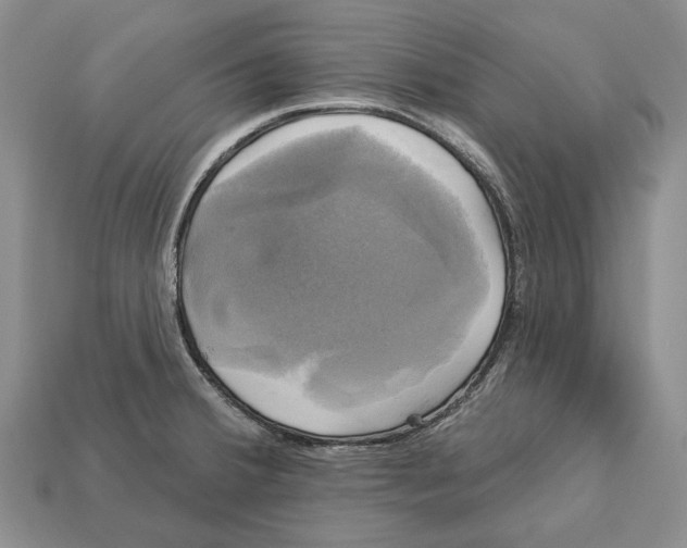 X0000113051380200909241446