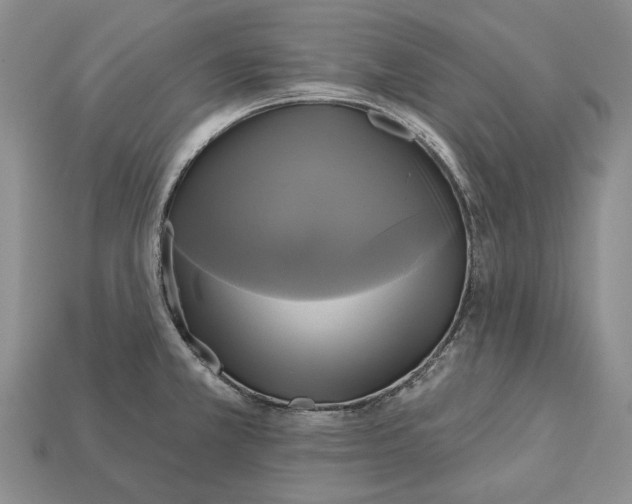 X0000113051381200909241446