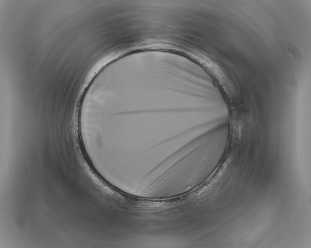 X0000113051382200909241446