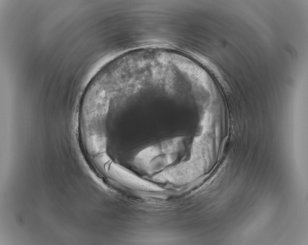 X0000113051383200909241446