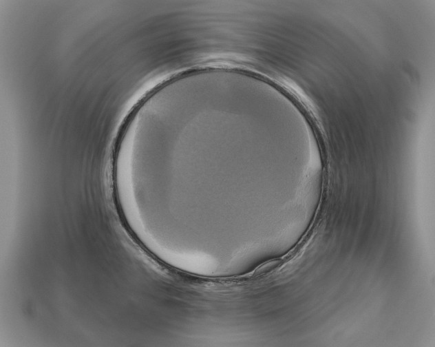 X0000113051384200909241446