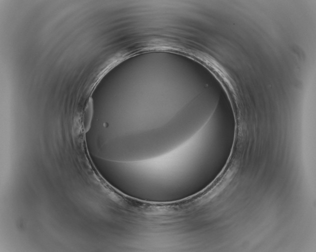 X0000113051385200909241446