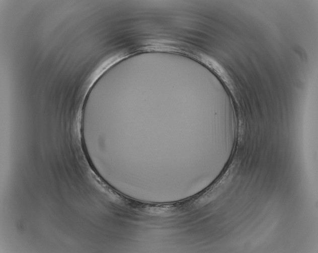 X0000113051386200909241446