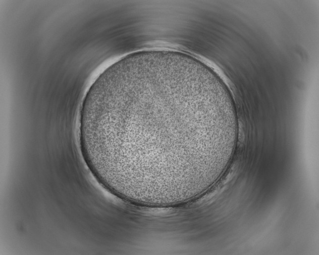 X0000113051387200909241446
