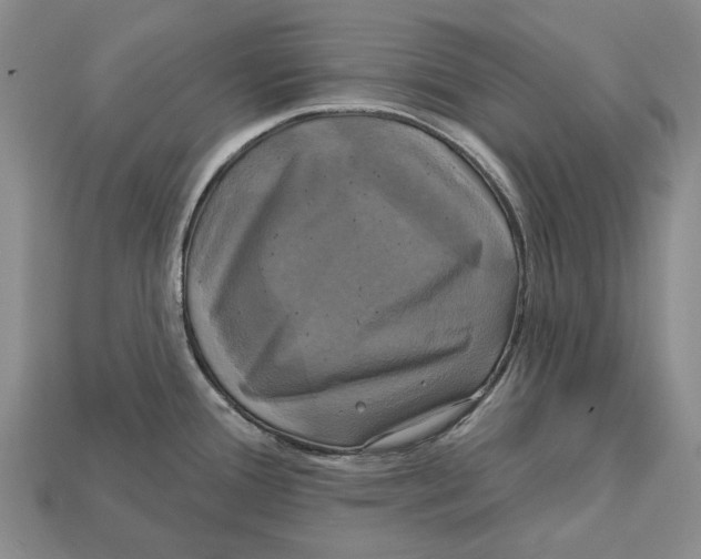 X0000113051388200909241446
