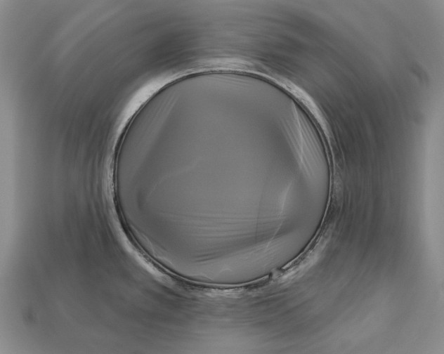 X0000113051389200909241446