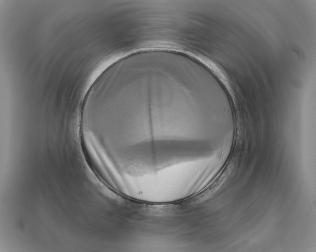 X0000113051390200909241446