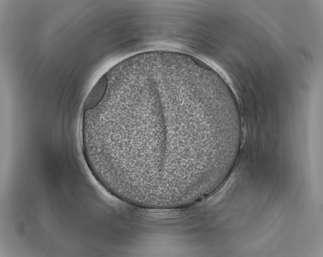 X0000113051391200909241446