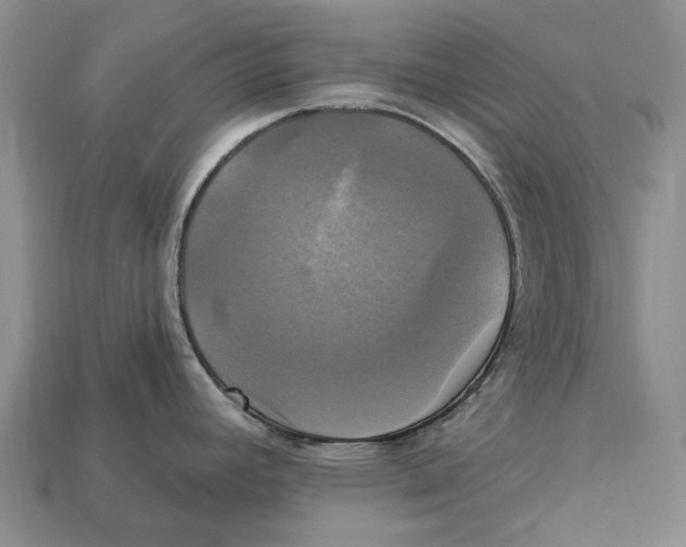 X0000113051392200909241446