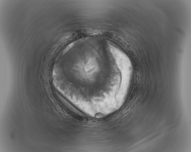 X0000113051393200909241445