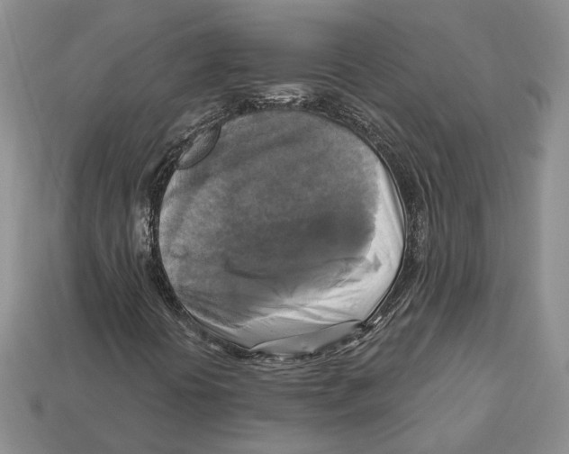 X0000113051394200909241445