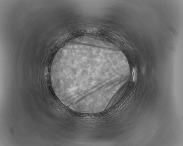 X0000113051395200909241445