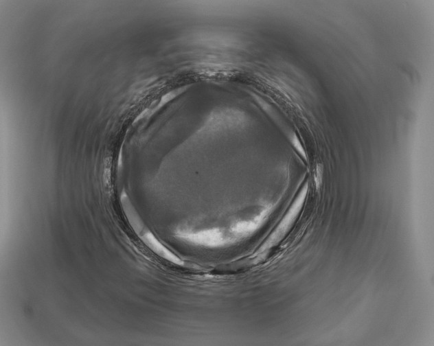 X0000113051396200909241445