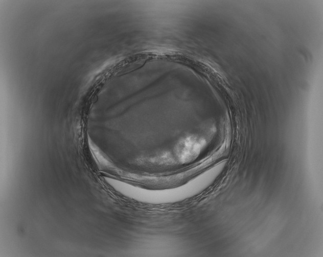 X0000113051398200909241445