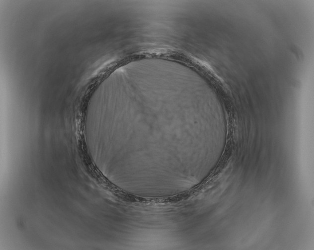 X0000113051399200909241445