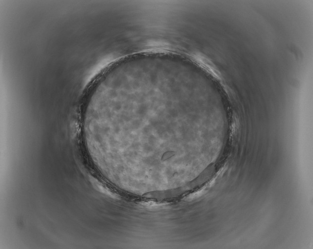X0000113051400200909241445