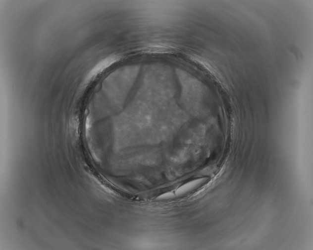 X0000113051402200909241445