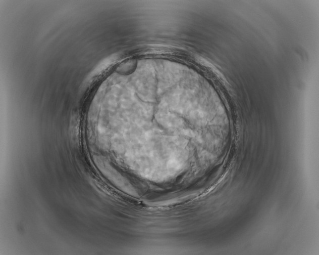 X0000113051403200909241446