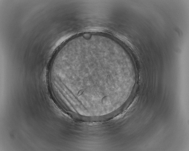 X0000113051404200909241446
