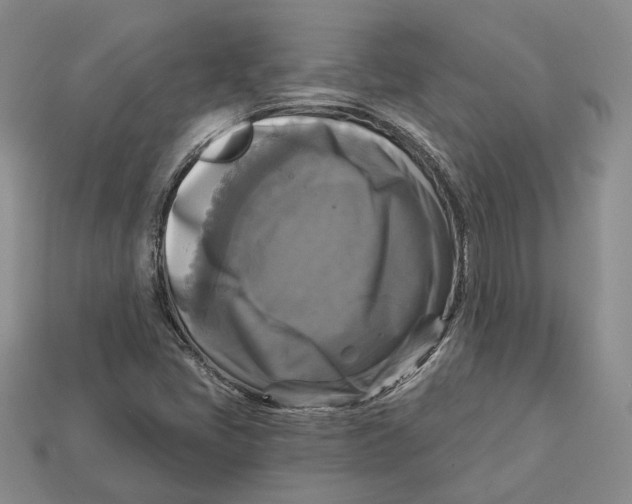 X0000113051405200909241446