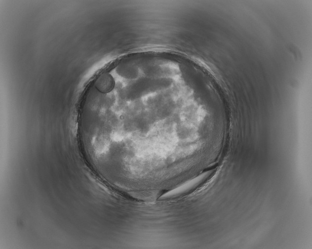 X0000113051406200909241446