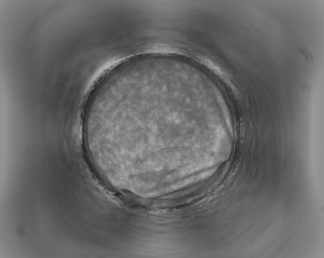 X0000113051408200909241446