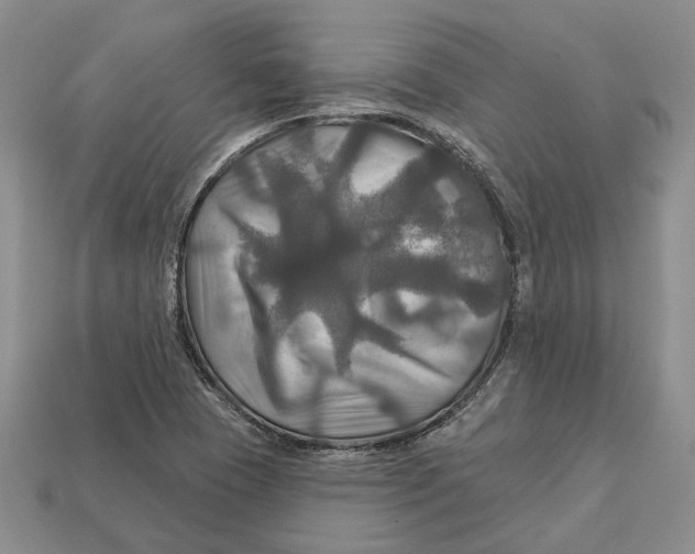 X0000113051409200909241446